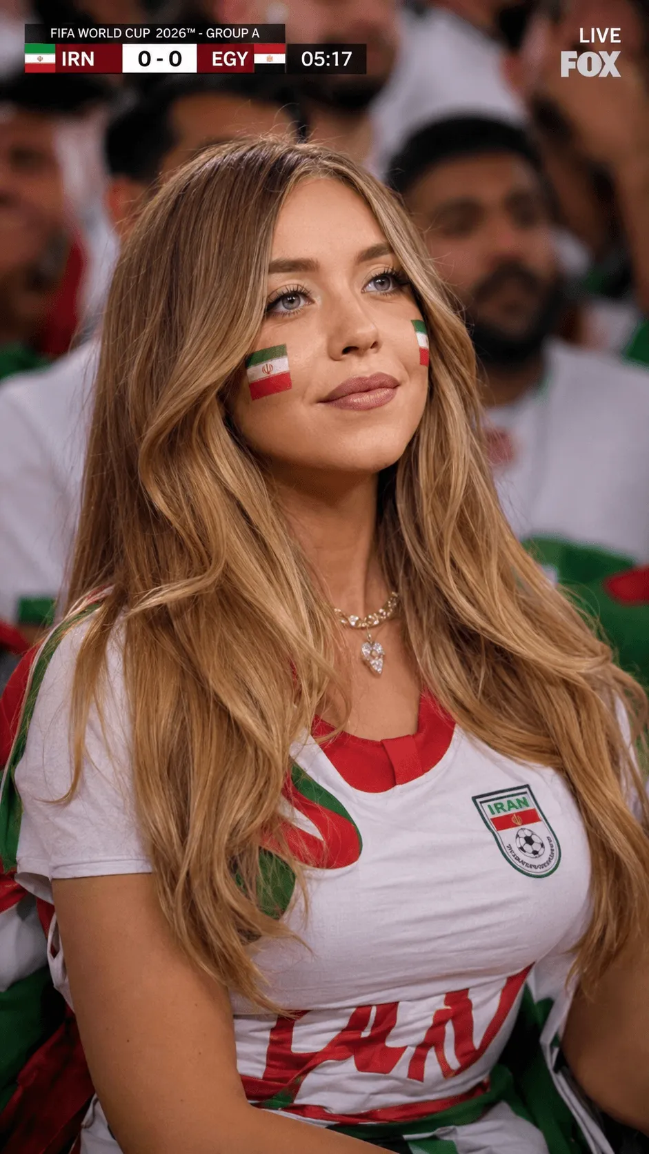 هوادار در تلویزیون